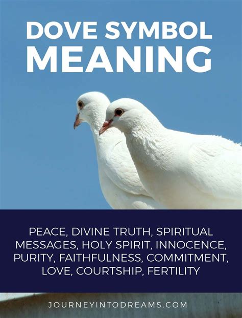 What Does It Mean To Dream About Doves Learn About The Spiritual