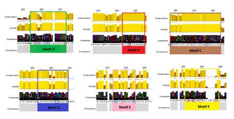 Multiple Sequence Alignment Of TBK1 Representative Sequences