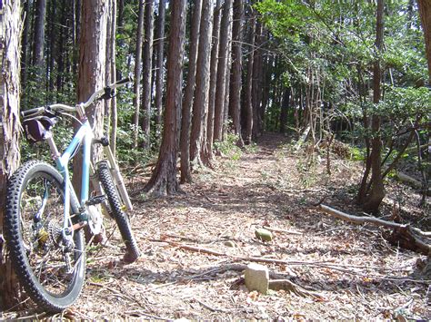 春なのでmtbトレイル セオサイクル浜松店 自転車屋 浜松市 中区 静岡文化芸術大学すぐ横 自転車専門店 セオ