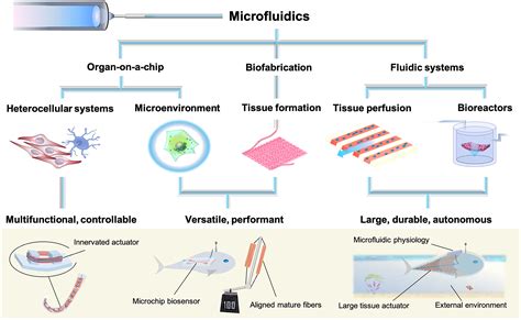 Will Microfluidics Enable Functionally Integrated Biohybrid Robots Pnas