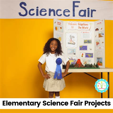 Science Fair Projects School Art Projects School Craf