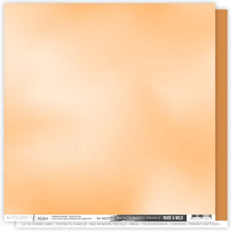 LES ATELIERS DE KARINE Papier BACK TO BASICS Orange NUDE WILD