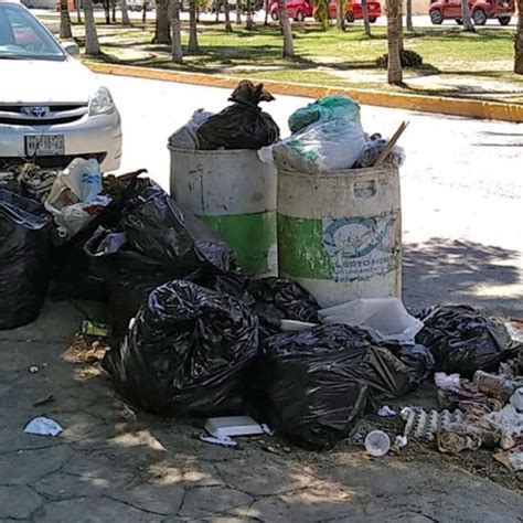 Basura Se Acumula En Calles De Puerto Morelos Turquesa News