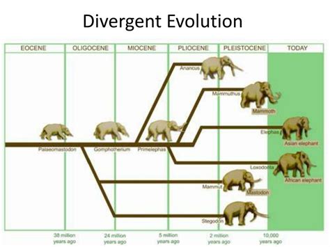 Ppt Biology 3201 Powerpoint Presentation Free Download Id3194239