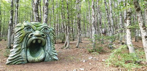 Roccaraso Prossimo All Inaugurazione Il Bosco Delle Meraviglie Un