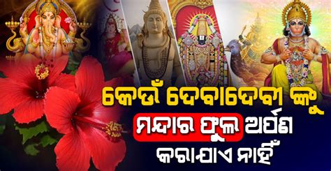 ଭୁଲରେ ବି ଏହି ଦେବା ଦେବୀଙ୍କୁ ଅର୍ପଣ କରନ୍ତୁ ନାହିଁ ମନ୍ଦାର ଫୁଲ ମିଳିଥାଏ ଅଶୁଭ