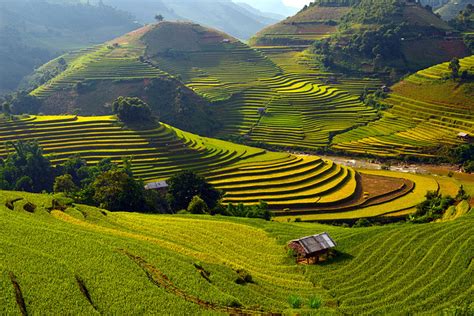 Mucangchai Tour 2 Days 1 Night Mu Cang Chai Ecolodge