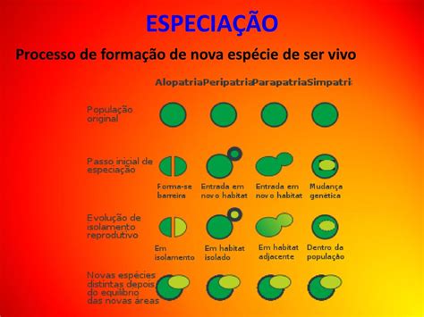 Evolu O Biol Gica Conceitos Importantes Ppt Carregar