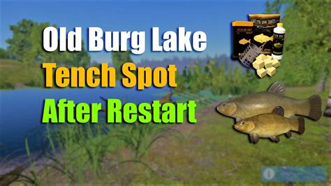 Russian Fishing Old Burg Lake Tench Spot Youtube