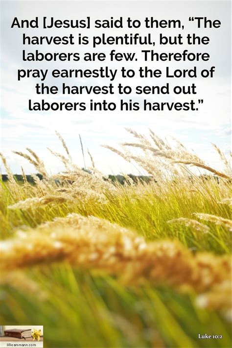 And Jesus Said To Them The Harvest Is Plentiful But The Laborers