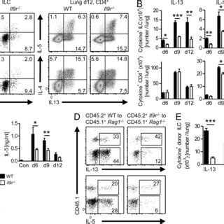 Il Enhances Cytokine Production And Survival Of Lung Ilcs A Il