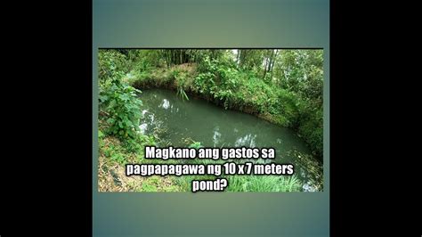 Magkano Ang Gastos Sa Pagpapagawa Ng X Meters Pond Backyard