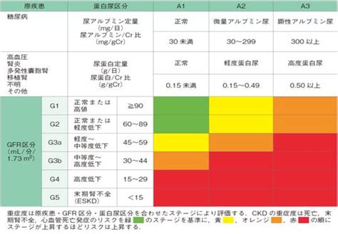 連載 腎機能評価の10の鉄則 2日目 平田の薬剤師塾 ～薬のことを分かりやすく丁寧に～