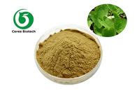 Natural Horny Goat Weed Epimedium Extract Icariin Health Care Food