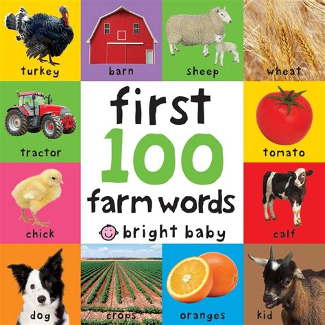 First 100 Words Bright Baby Board Book Captions Quotes