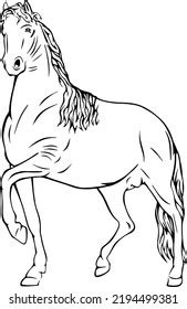 8,410 Horse Running Outline Stock Vectors, Images & Vector Art ...