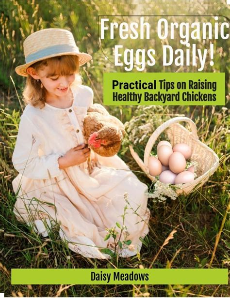 Fresh Organic Eggs Daily Practical Tips On Raising Healthy Backyard