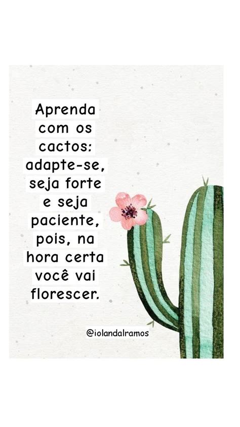 Pin De Daiane Arantes Em Frases Citações Sábias Frases Cactus