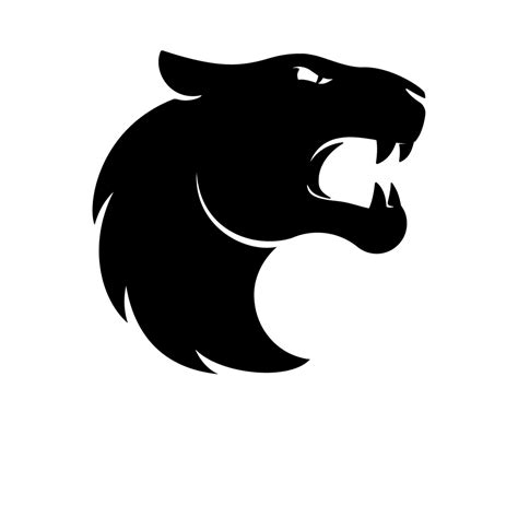 FURIA Esports - VALORANT Esports Wiki