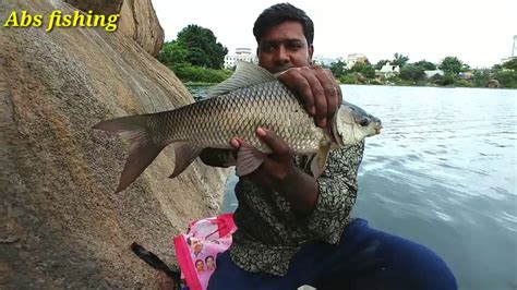 Amazing Catla Fish Catching In Fishing Rod Rohu And Catla Fishing