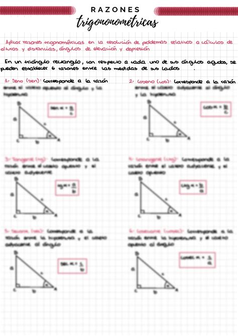 Solution Razones Trigonom Tricas Studypool