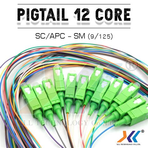 สาย Pigtail Fiber Optic สายพกเทล 12Core SC APC SC UPC LC UPC SM