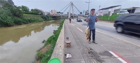 Conheça o morador de Brusque que já pescou peixe de 19 quilos no rio