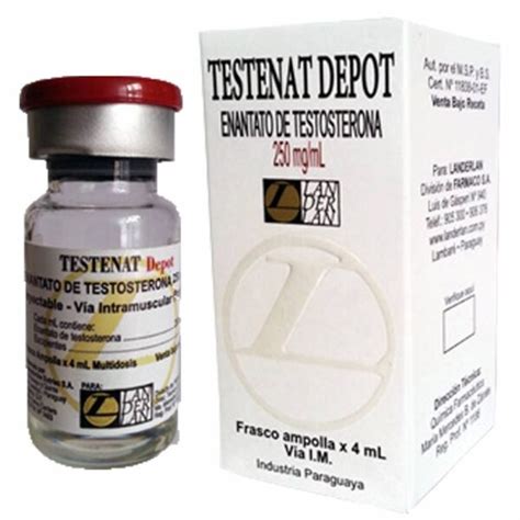 Testenat Depot Enantato De Testosterona 250mg 4ml Landerlan