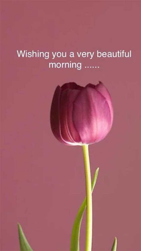 28 Amazing Good Morning Quotes And Wishes With Beautiful Images