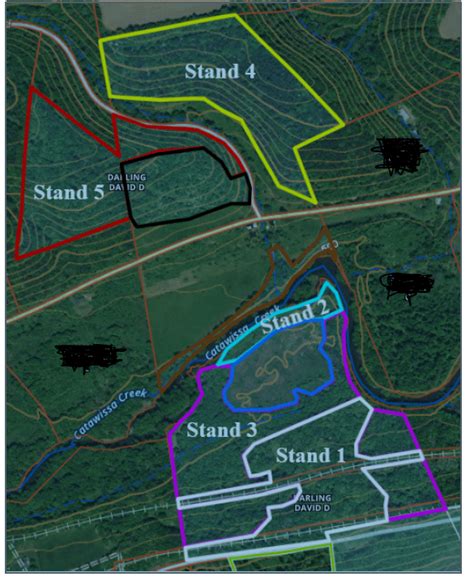 I Used These Awesome Historical Aerial Photos Of My Property From 1959