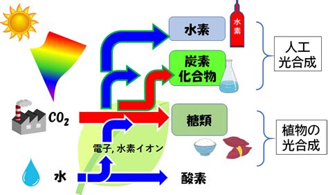 人工光合成 水と二酸化炭素を活用する太陽光エネルギーの貯蔵技術 森川 健志 株式会社豊田中央研究所 応用物理学会