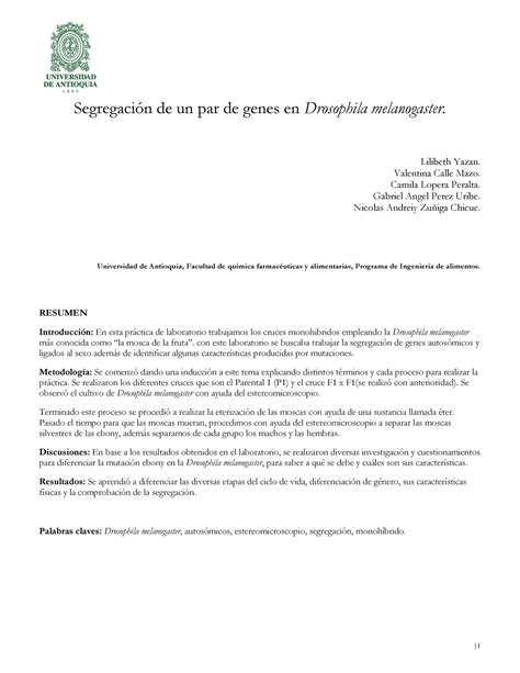 Segregación de un par de genes Drosophila melanogaster Informe