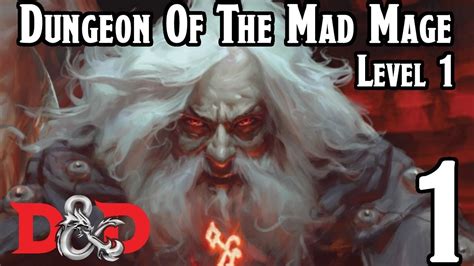 Dungeons And Dragons 5e Dungeon Of The Mad Mage Level One Episode 1