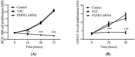 Suppressive Effect Of Fgfr3 Gene Silencing On Proliferation Of Cultured