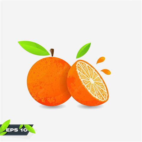 Premium Vector Fresh Orange Fruit