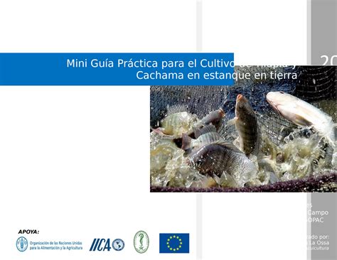 Mini Guia De Cultivo De Tilapia Y Cachama Mini Gu A Pr Ctica Para El