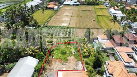 Dijual Tanah Murah Lodtunduh Ubud View Sawah Dan Sungai Tanah Dijual