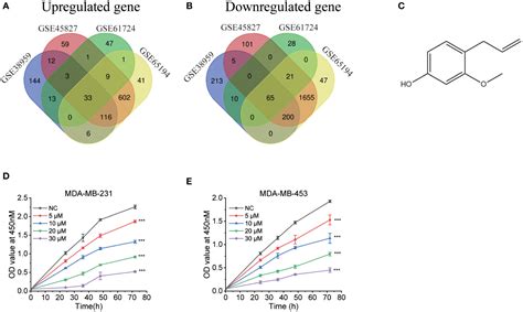 Frontiers Eugenol Modulates The Nod Nf B Signaling Pathway Via