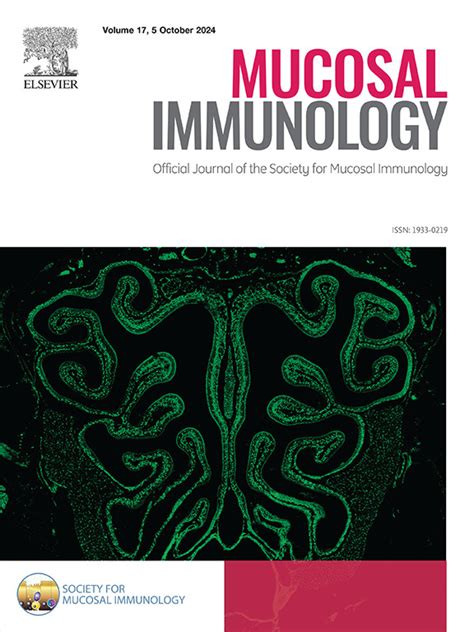 The Alveolar Macrophages In Asthma A Double Edged Sword Mucosal