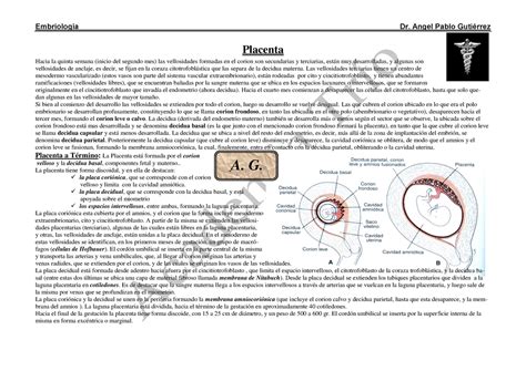 Placenta Resumen Embriología Dr Angel Pablo Gutiérrez Placenta Hacia La Quinta Semana