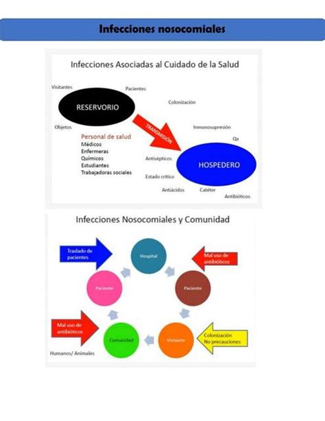 Infecciones Nosocomiales Jessica Alvarez Udocz