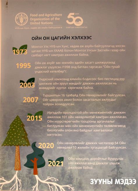 Фото: "Эрүүл ой-эрүүл хүн"