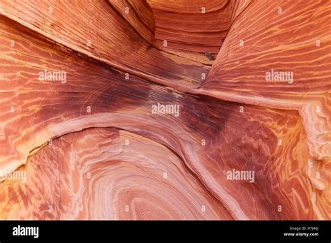 The Wave Coyote Buttes In The Vermilion Cliffs Stock Photo Alamy