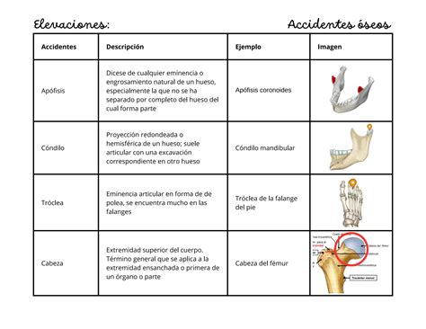 Tipos de accidentes óseos anatomía 1 con ejemplos e imágenes tablas PPT