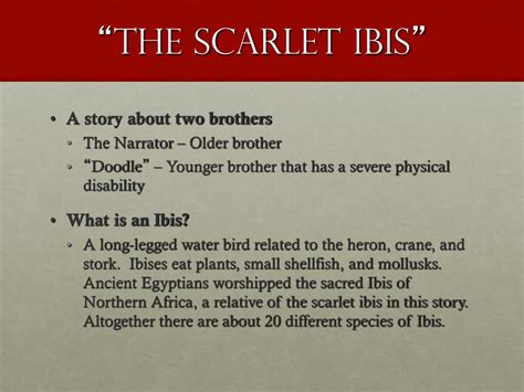 Ppt The Scarlet Ibis By James Hurst Powerpoint Presentation Id