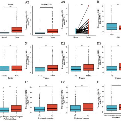 Expression Levels Of Cartilage Intermediate Layer Protein Cilp