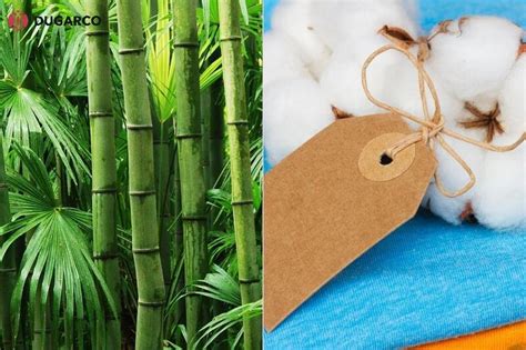 Eco-friendly Bamboo Fabric Clothing | Features & Price