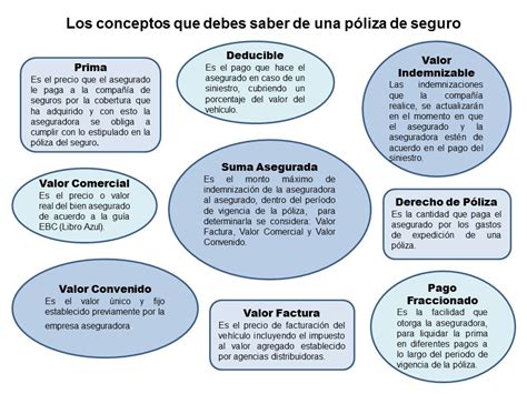 Diferencia entre seguro y póliza todo lo que debes saber