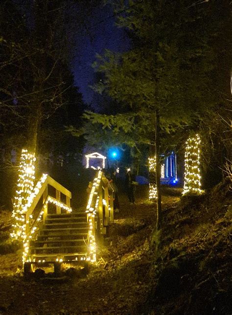 Magia Das Luzes De Natal Regressa Floresta Encantada S Portas Da