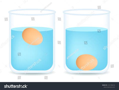 229 Egg Floating In Water Stock Illustrations Images And Vectors